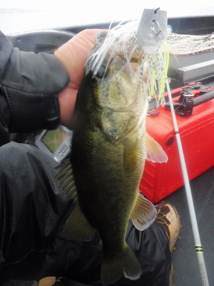 truth  ブログ写真 2017/10/22