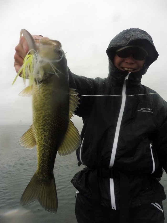 truth  ブログ写真 2017/10/22