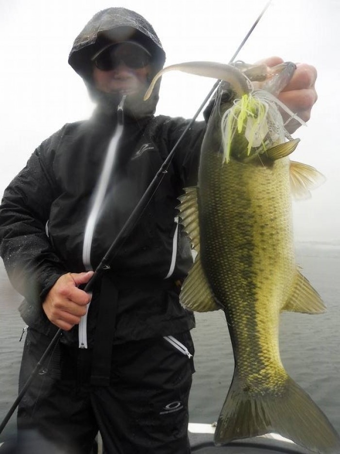 truth  ブログ写真 2017/10/22