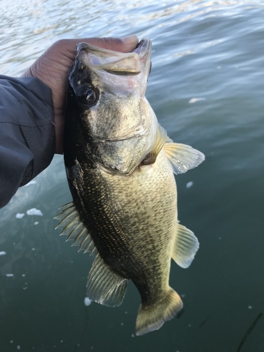 truth  ブログ写真 2017/11/02