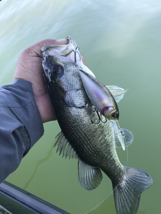 truth  ブログ写真 2017/11/02