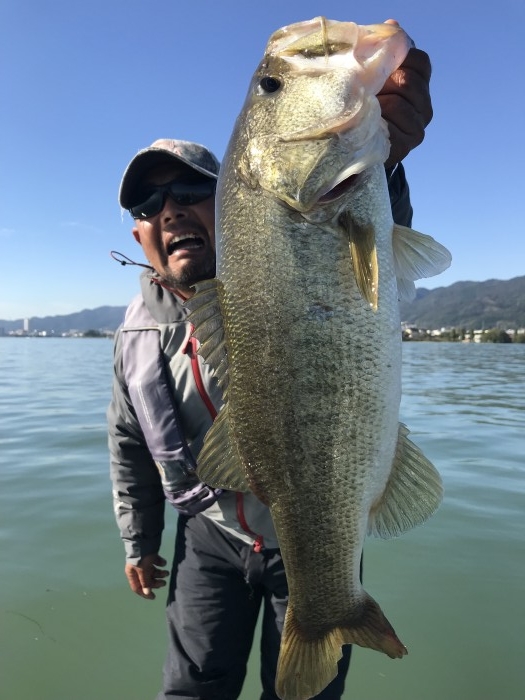 truth  ブログ写真 2017/11/02