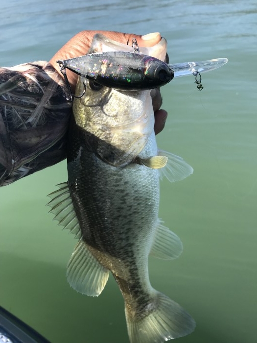 truth  ブログ写真 2017/11/02