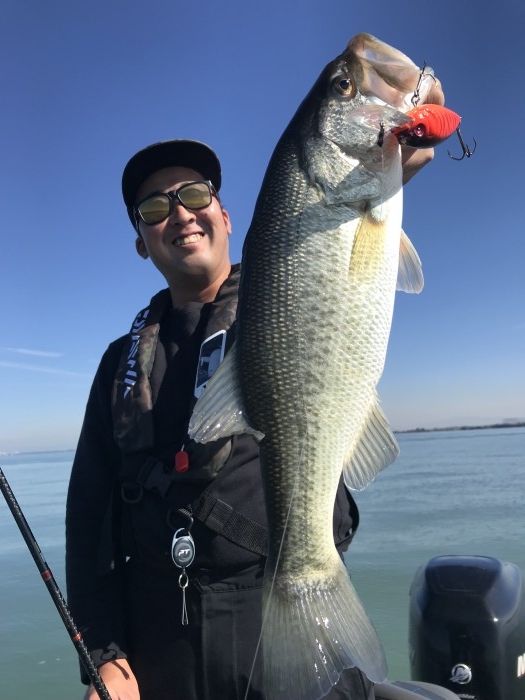 truth  ブログ写真 2017/11/02