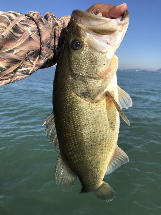 truth  ブログ写真 2017/11/02