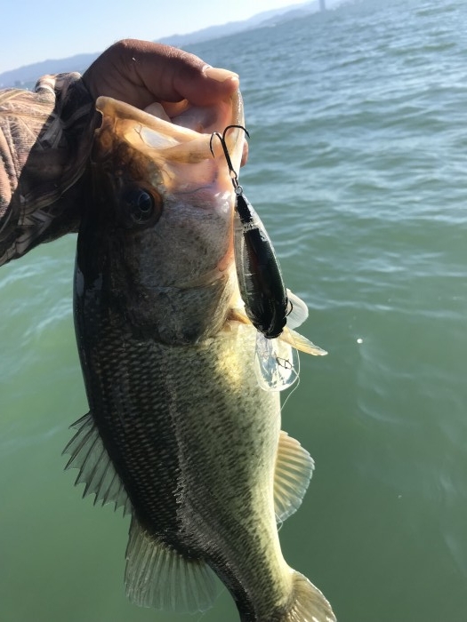 truth  ブログ写真 2017/11/02