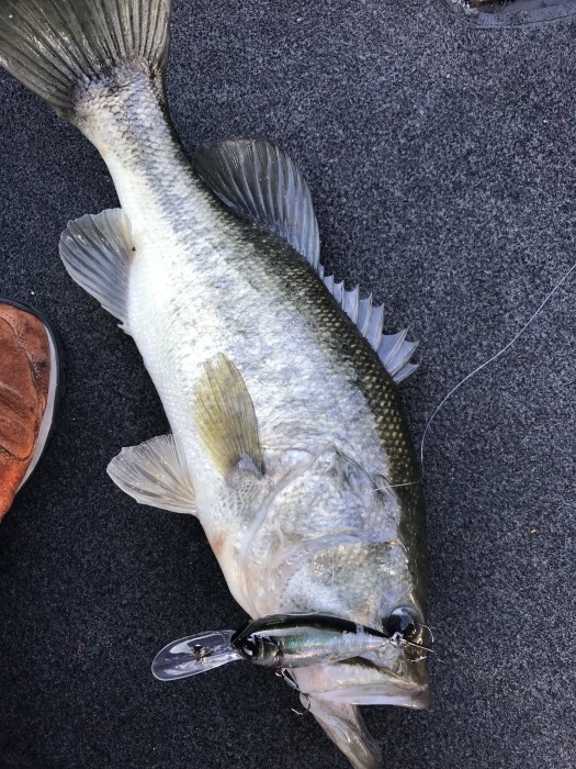 truth  ブログ写真 2017/11/02