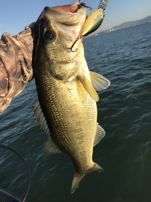 truth  ブログ写真 2017/11/02