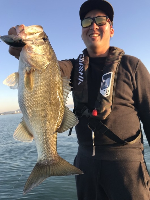 truth  ブログ写真 2017/11/02