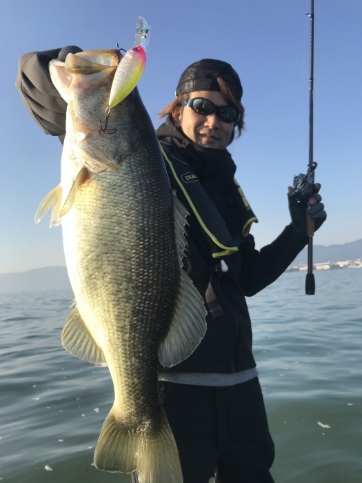 truth  ブログ写真 2017/11/03