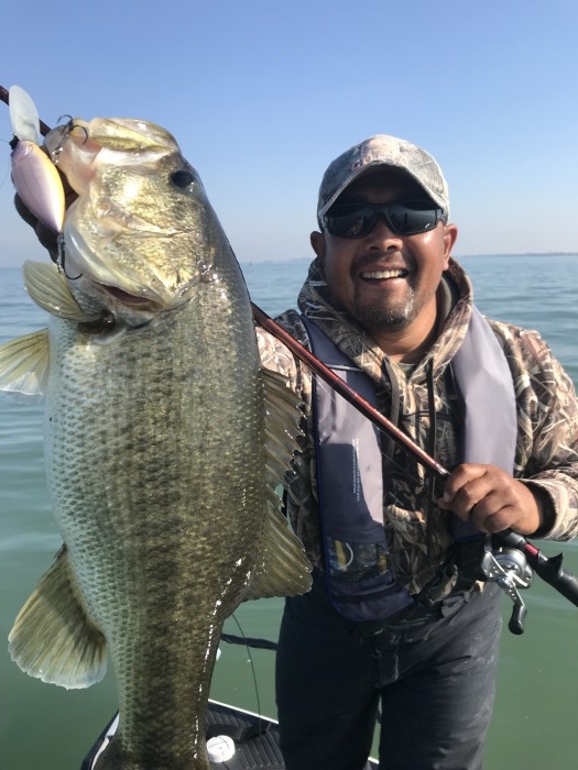 truth  ブログ写真 2017/11/03