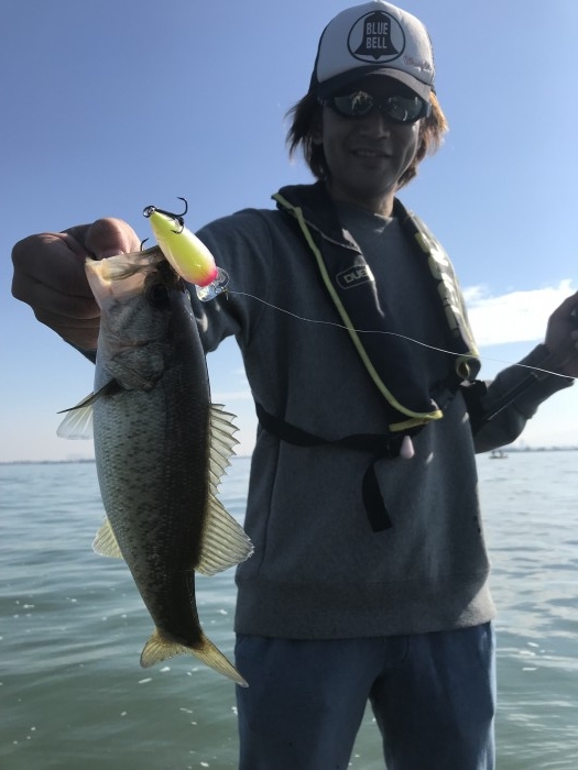 truth  ブログ写真 2017/11/03