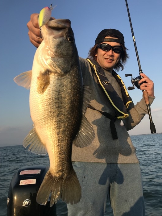 truth  ブログ写真 2017/11/03