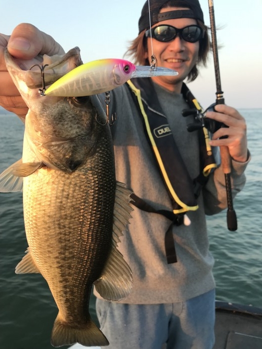 truth  ブログ写真 2017/11/03