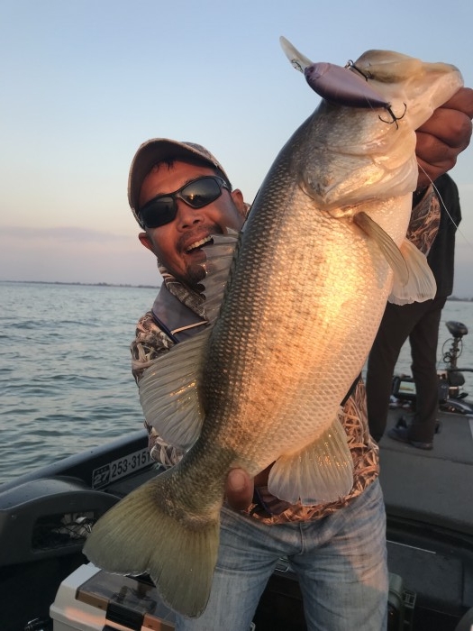 truth  ブログ写真 2017/11/03