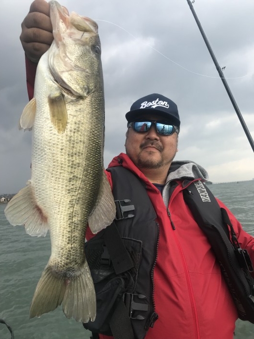 truth  ブログ写真 2017/11/04