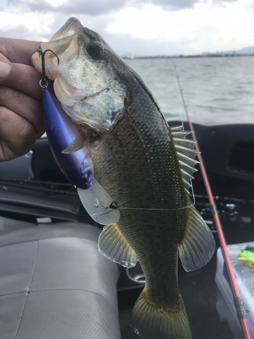 truth  ブログ写真 2017/11/04