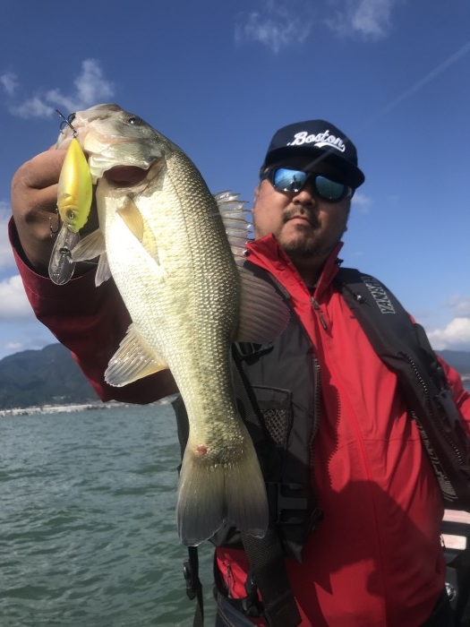 truth  ブログ写真 2017/11/04