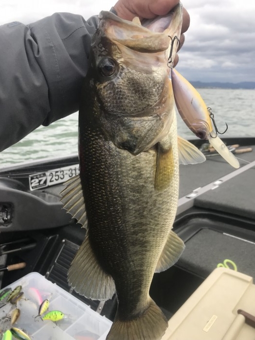 truth  ブログ写真 2017/11/04