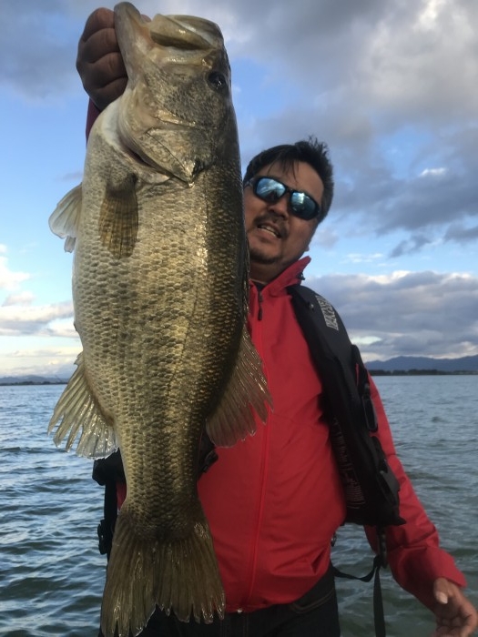 truth  ブログ写真 2017/11/04