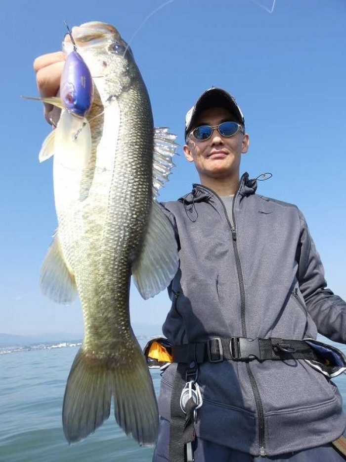 truth  ブログ写真 2017/11/05