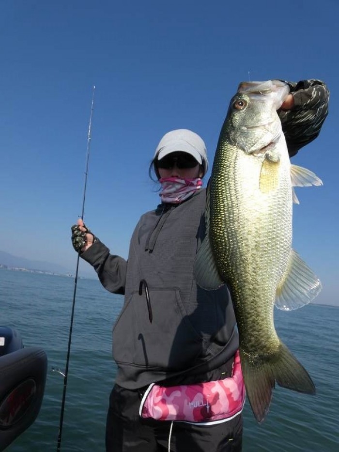 truth  ブログ写真 2017/11/05