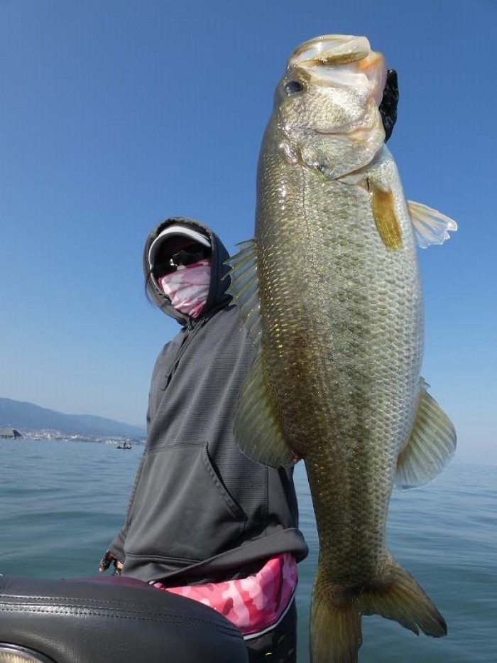 truth  ブログ写真 2017/11/05