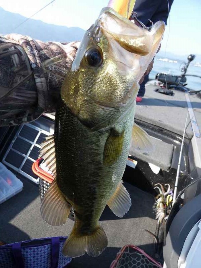 truth  ブログ写真 2017/11/05