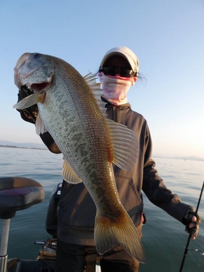 truth  ブログ写真 2017/11/05