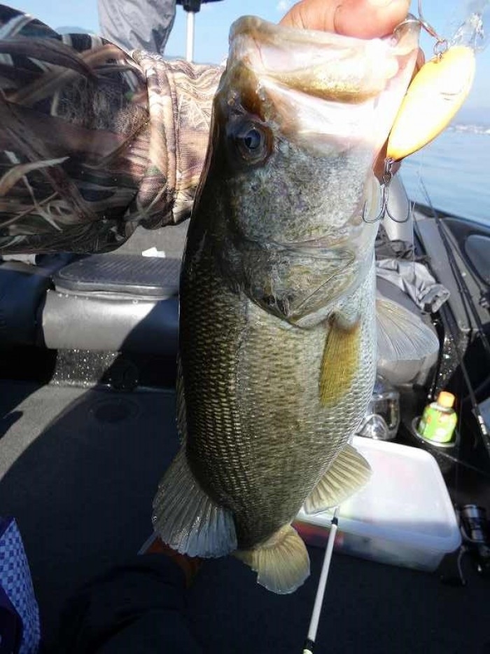 truth  ブログ写真 2017/11/06