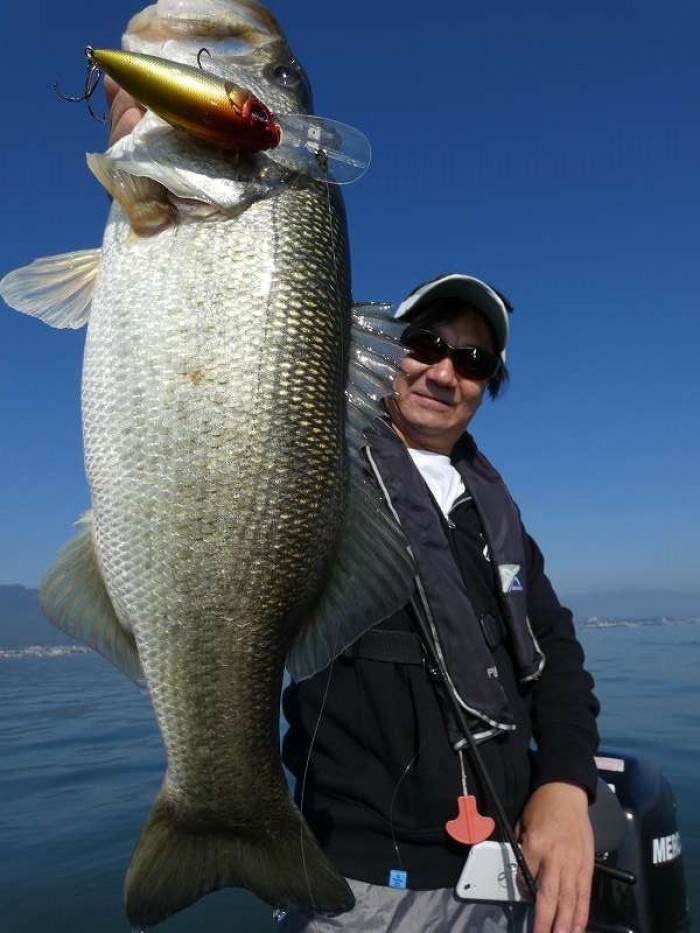 truth  ブログ写真 2017/11/06