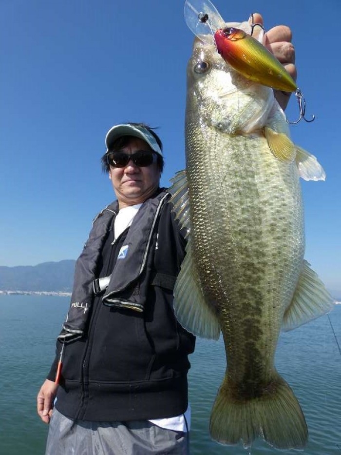 truth  ブログ写真 2017/11/06