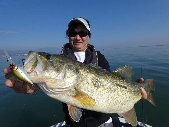 truth  ブログ写真 2017/11/06