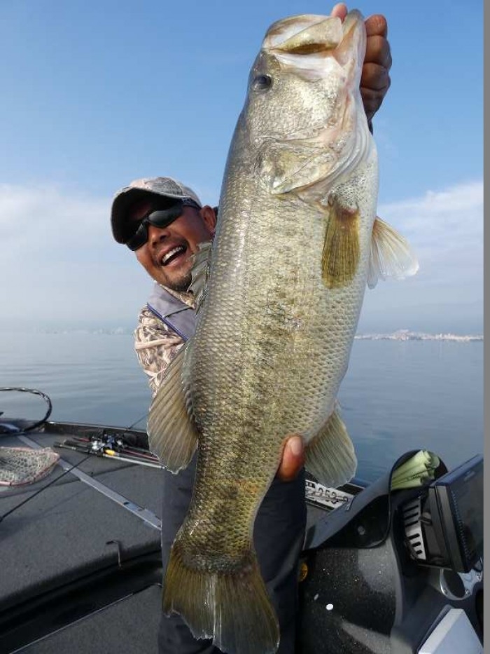 truth  ブログ写真 2017/11/07