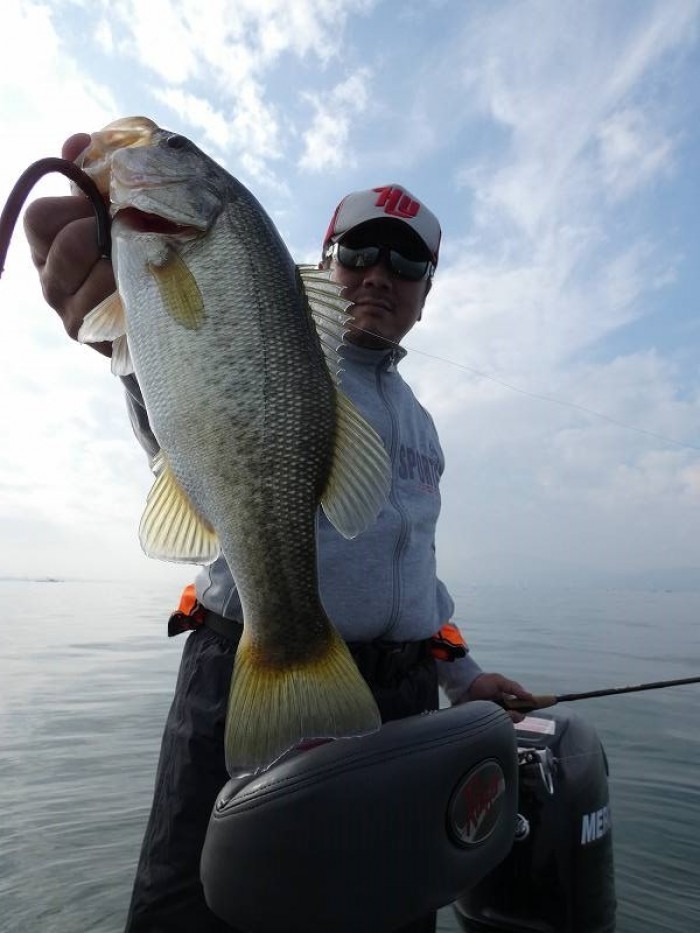 truth  ブログ写真 2017/11/07