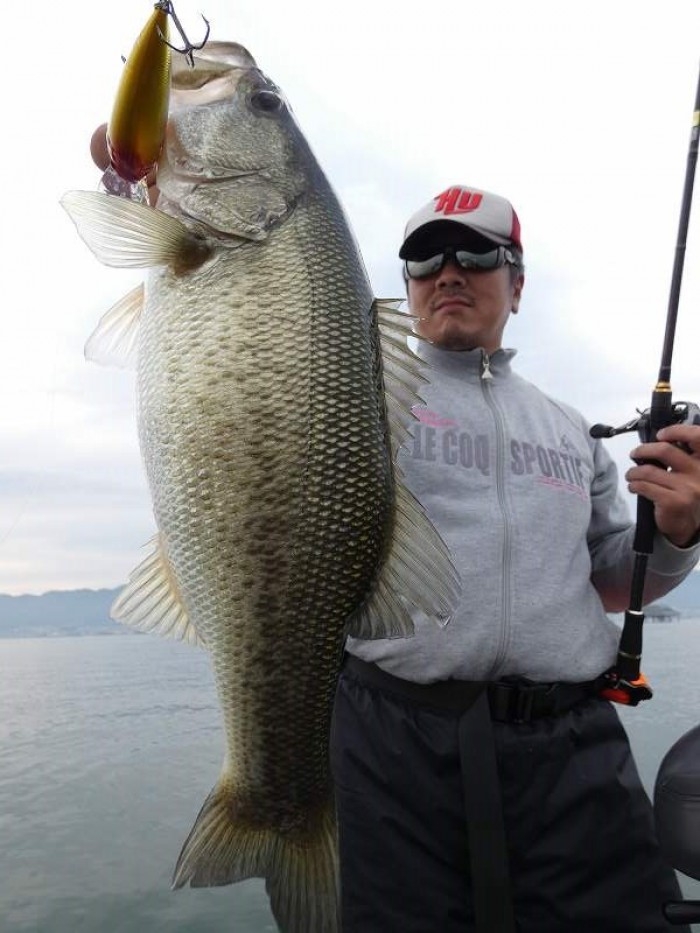 truth  ブログ写真 2017/11/07