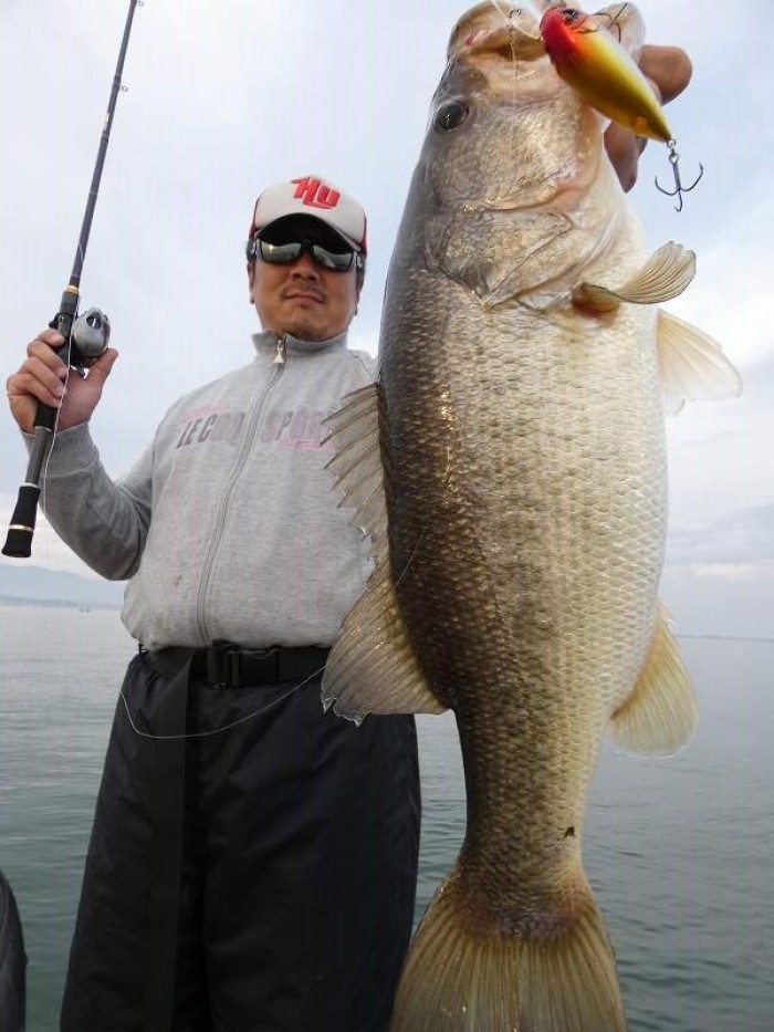 truth  ブログ写真 2017/11/07