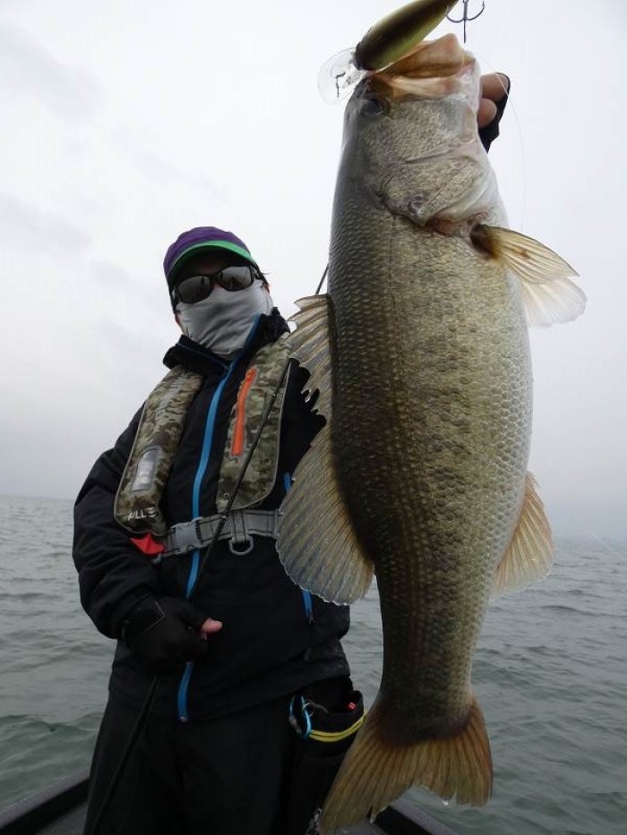 truth  ブログ写真 2017/11/08