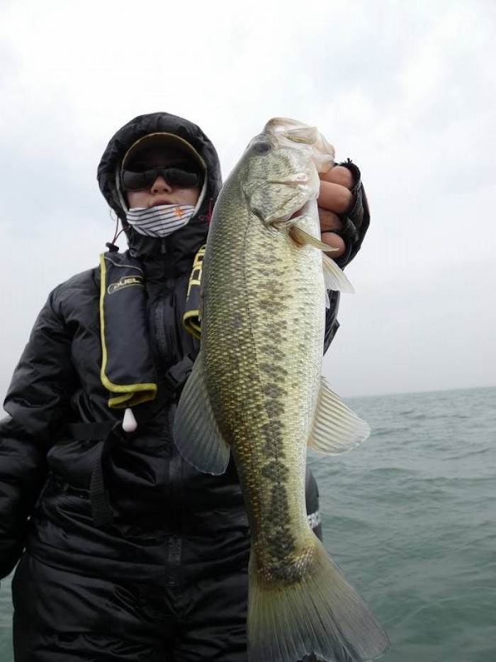 truth  ブログ写真 2017/11/08