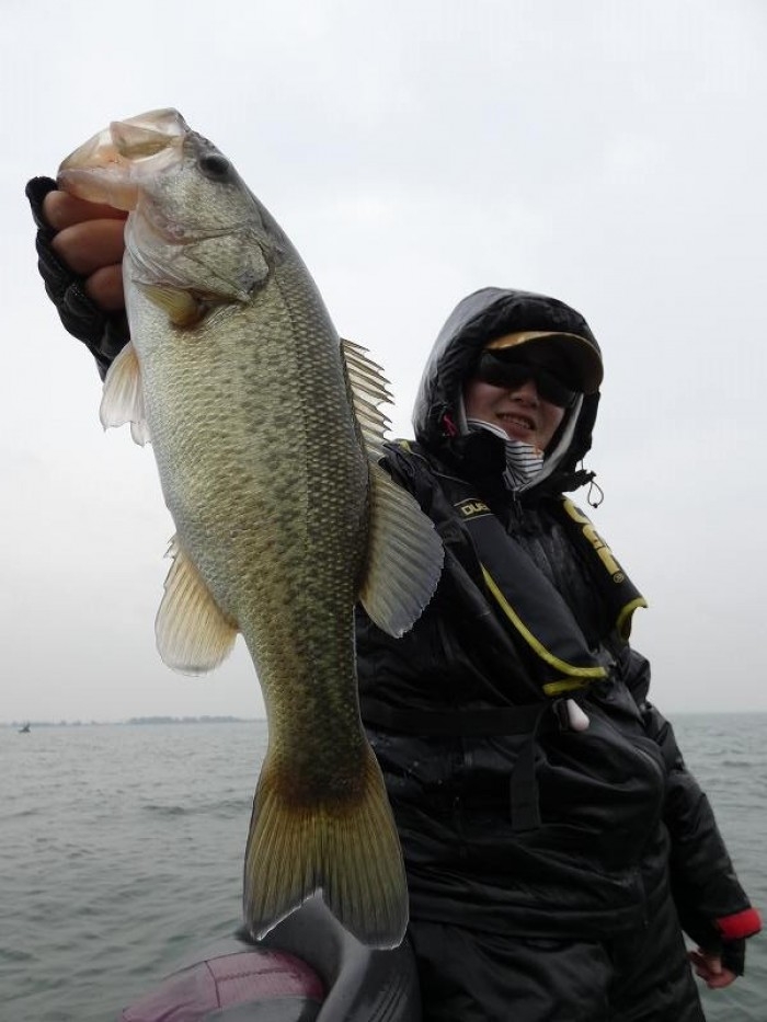 truth  ブログ写真 2017/11/08