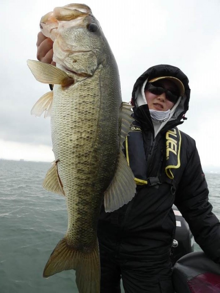 truth  ブログ写真 2017/11/08