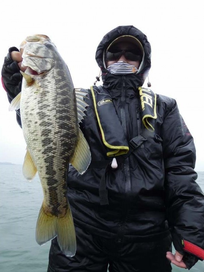 truth  ブログ写真 2017/11/08