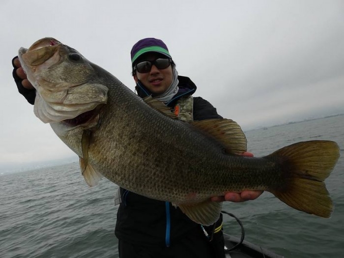 truth  ブログ写真 2017/11/08