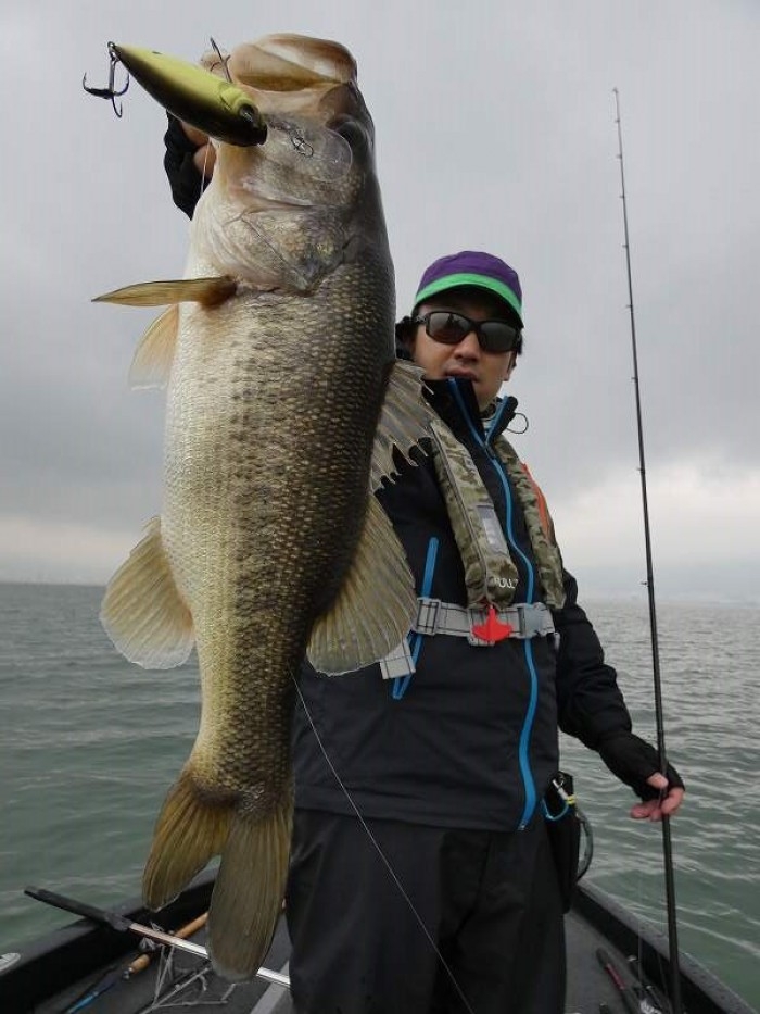 truth  ブログ写真 2017/11/08