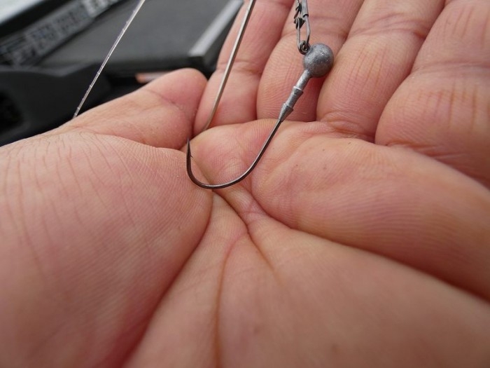 truth  ブログ写真 2017/11/08