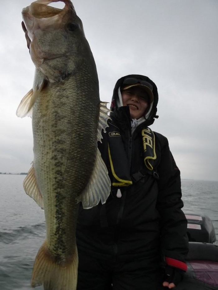 truth  ブログ写真 2017/11/08