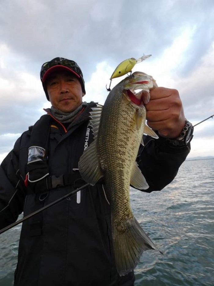 truth  ブログ写真 2017/11/10