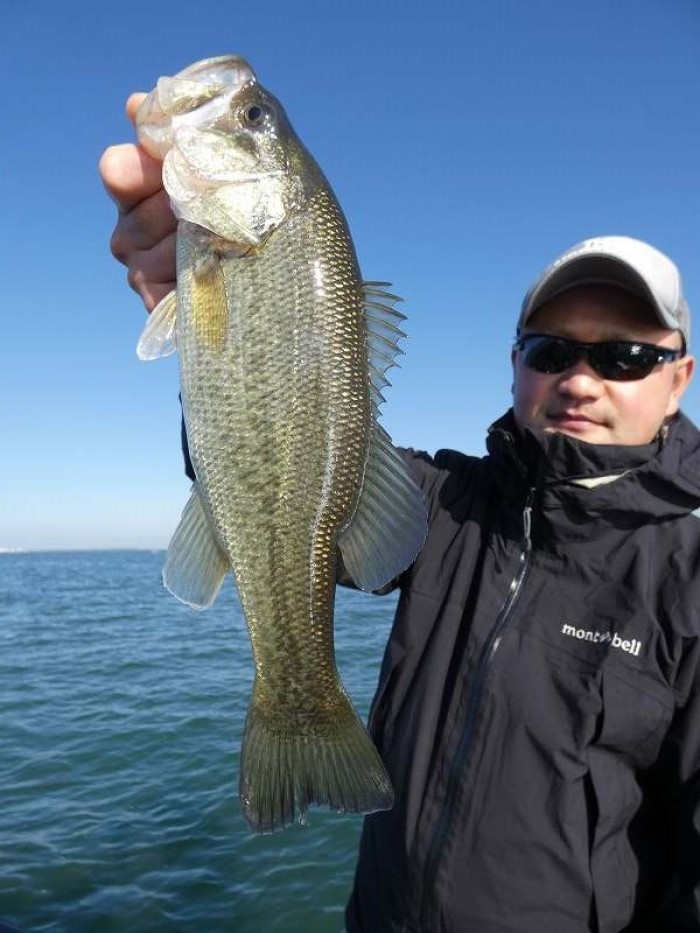 truth  ブログ写真 2017/11/10