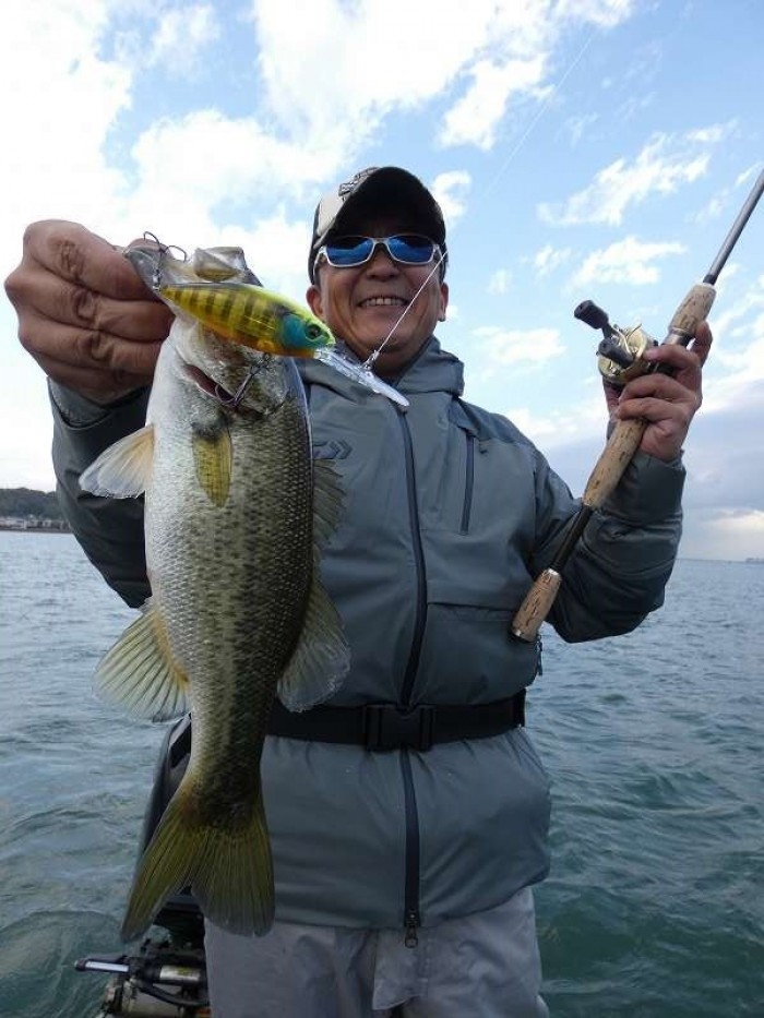 truth  ブログ写真 2017/11/11