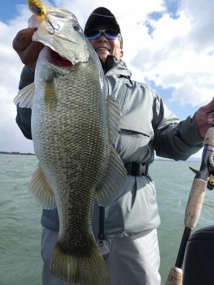 truth  ブログ写真 2017/11/11